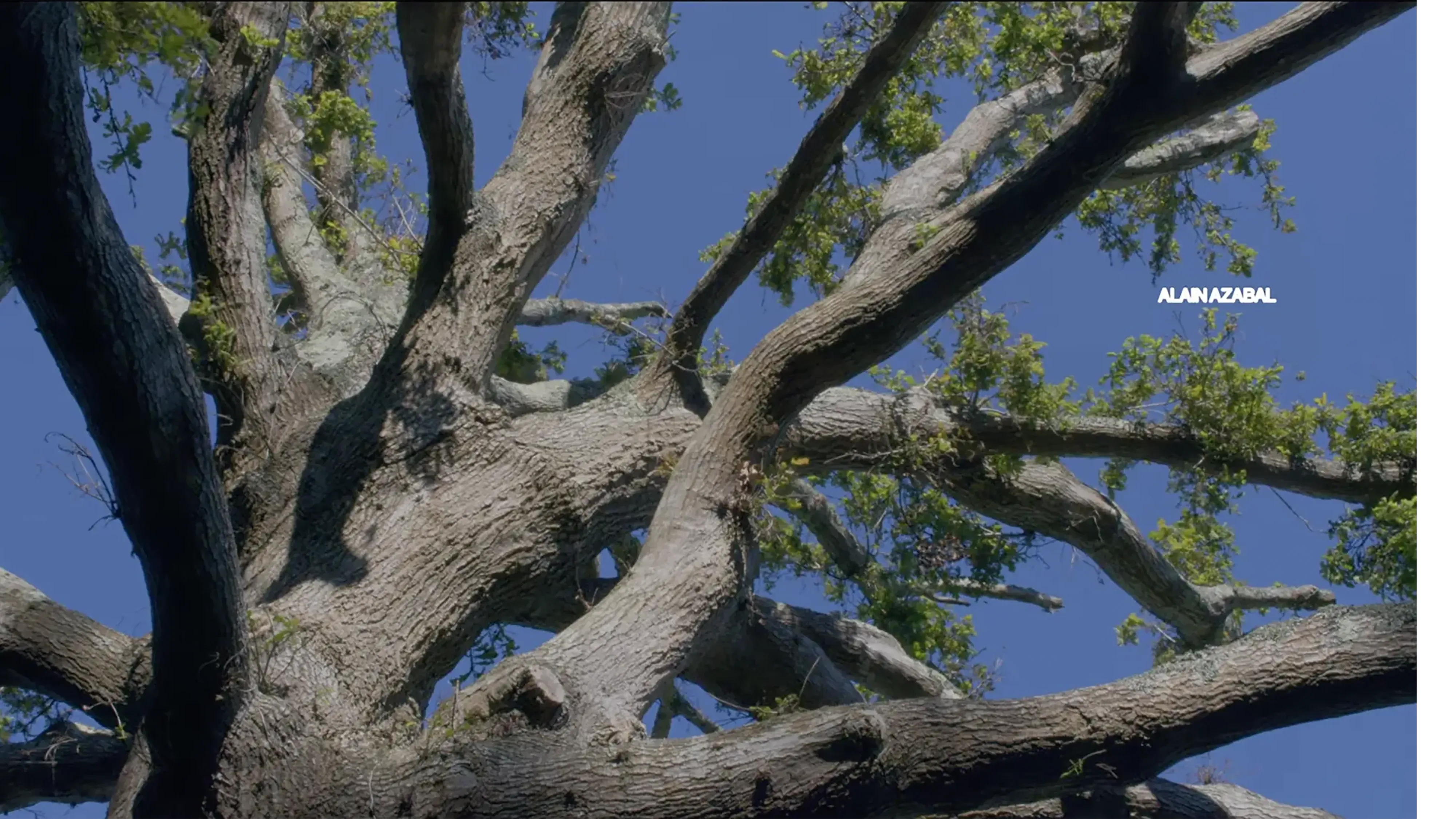 descripcion de las fotos