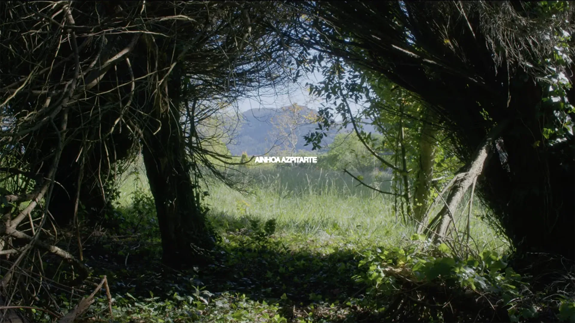 descripcion de las fotos