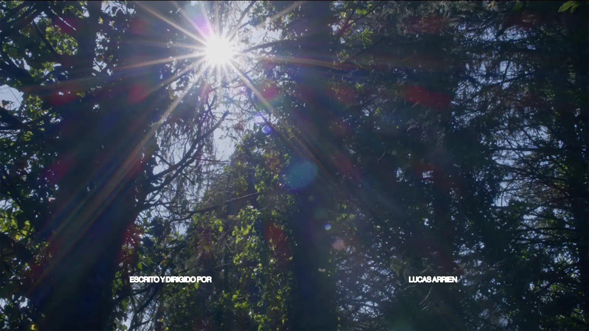 descripcion de las fotos