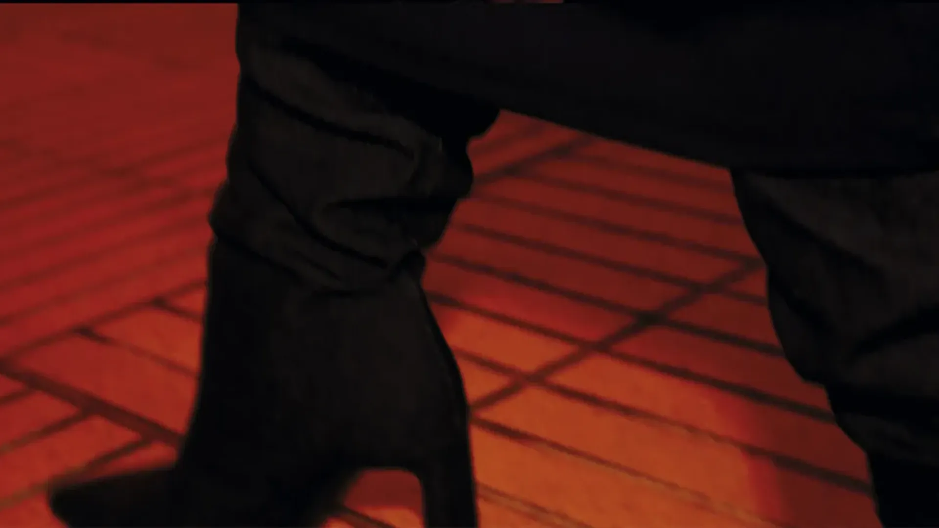 descripcion de las fotos